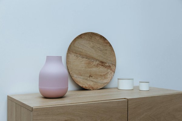 Essential Tips for Nurturing a Thriving Living Wall in Your Newcastle Office Space